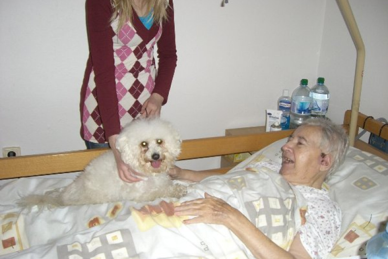  Galéria - Zo života zariadenia / Zo života zariadenia - foto