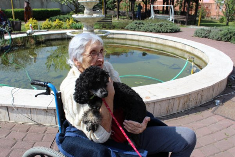  Galéria - Záujmové činnosti / Canisterapia - foto