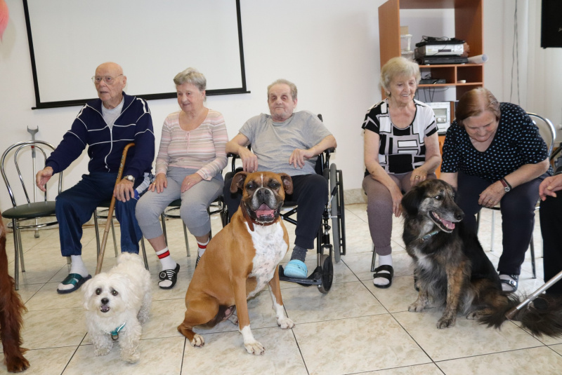  Galéria - Záujmové činnosti / Canisterapia - foto