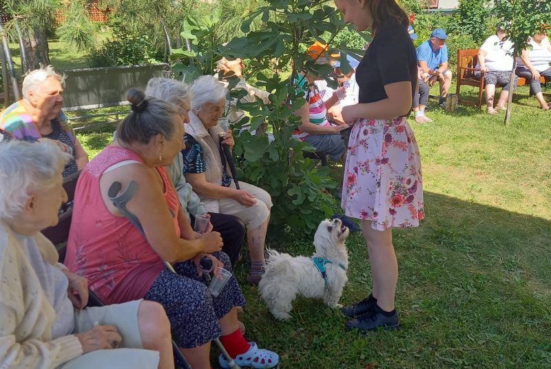  Galéria - Záujmové činnosti / Canisterapia - foto