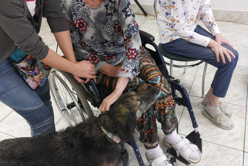  Galéria - Záujmové činnosti / Canisterapia - foto