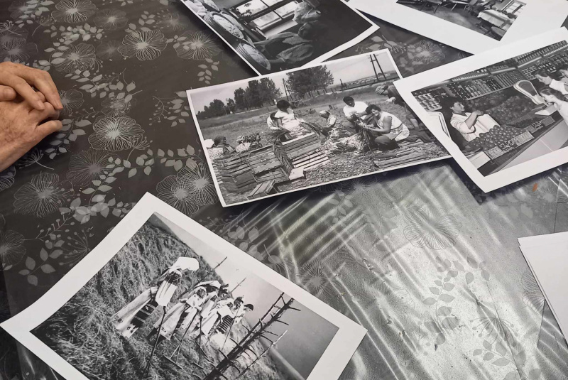  Galéria - Záujmové činnosti / Reminisenčná terapia - foto