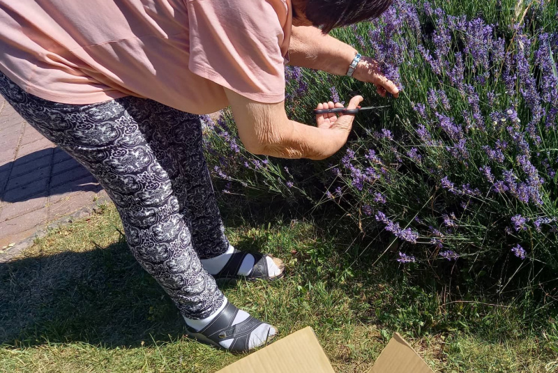  Galéria - Záujmové činnosti / Rozvoj pracovných zručností - foto