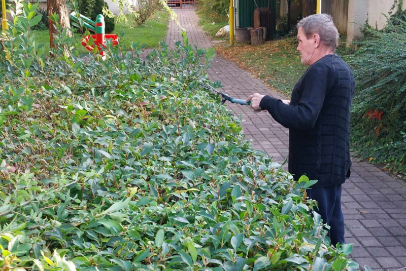 Galéria - Záujmové činnosti / Rozvoj pracovných zručností - foto