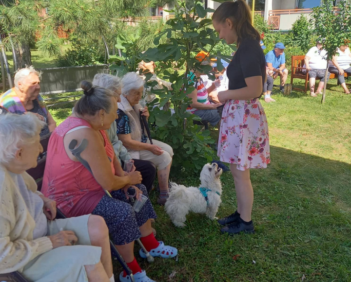 Záujmové činnosti